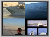 AJC-Cobia Boat-1