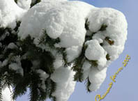 Photos montagne