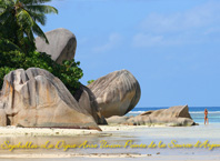 vignette Seychelles